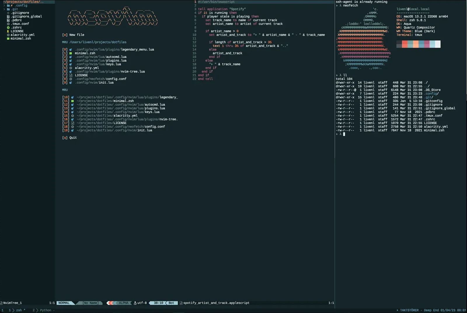 Dotfiles terminal setup screenshot
